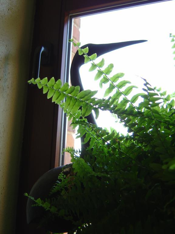 St. Vith Bed & Breakfast Schlommefurth Bed & Breakfast 部屋 写真